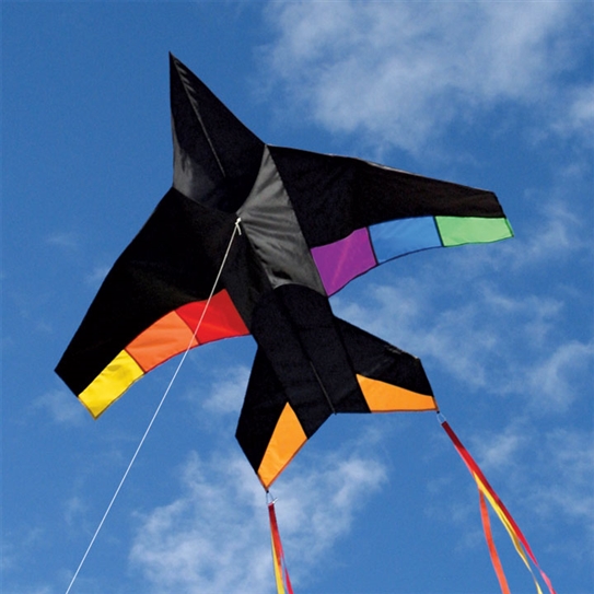 black rainbow jet